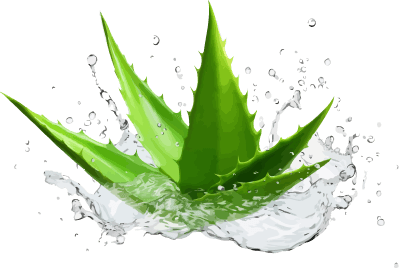 Aloe Vera Splash