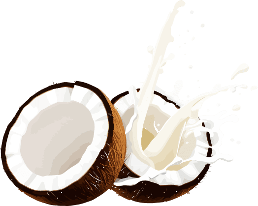 Coconut Milk
