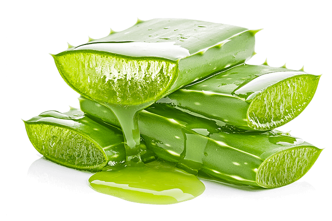 Aloe