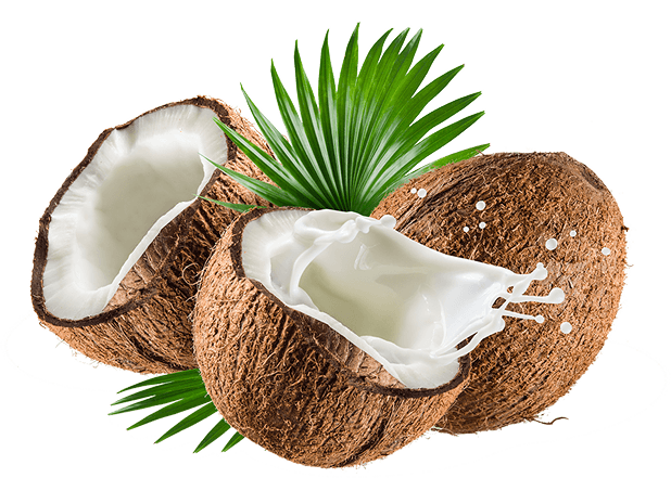 Coconut
